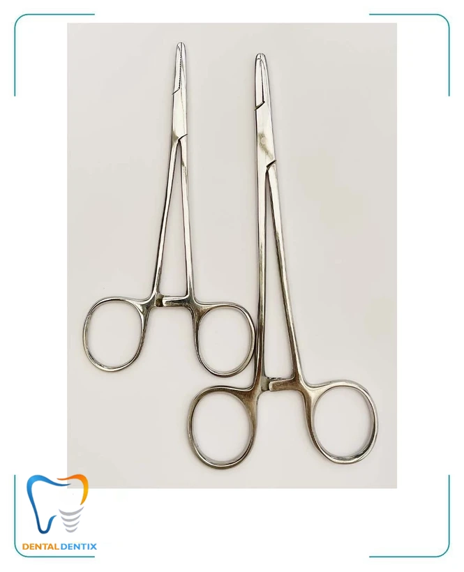 سوزنگیر کارنیک