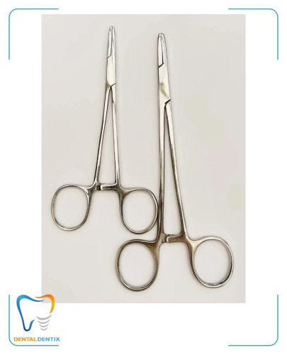 سوزنگیر کارنیک