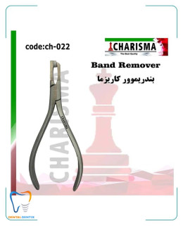 پلایر بندریموور کاریزما