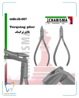 پلایر ترکینگ کاریزما (2عددی)
