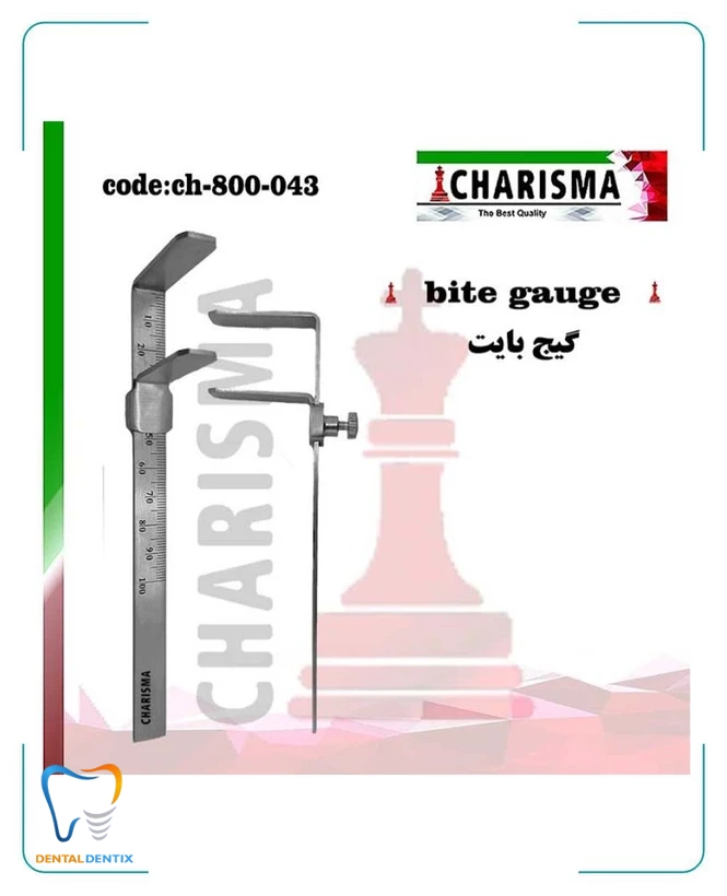 گیج بایت کاریزما
