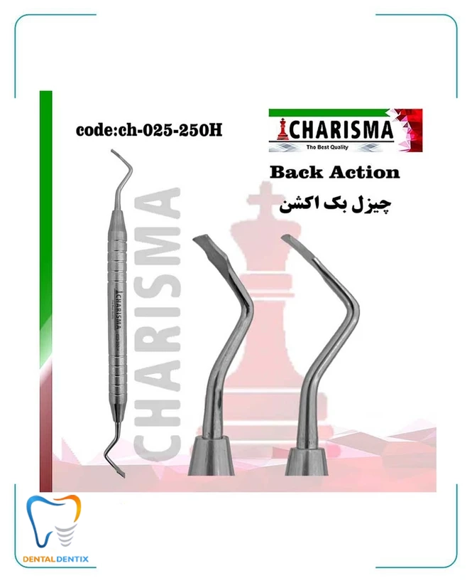 چیزل بک اکشن هالو کاریزما